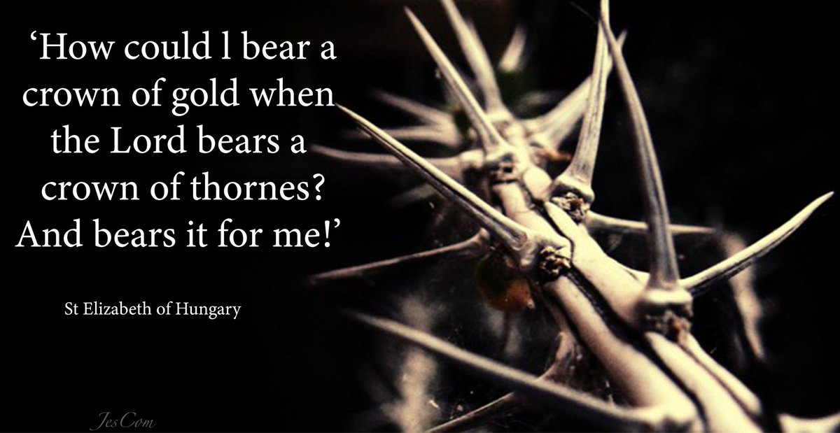 ‘How could l bear a
crown of gold when 
the Lord bears a 
crown of thorns?
And bears it for me!’

St Elizabeth of Hungary