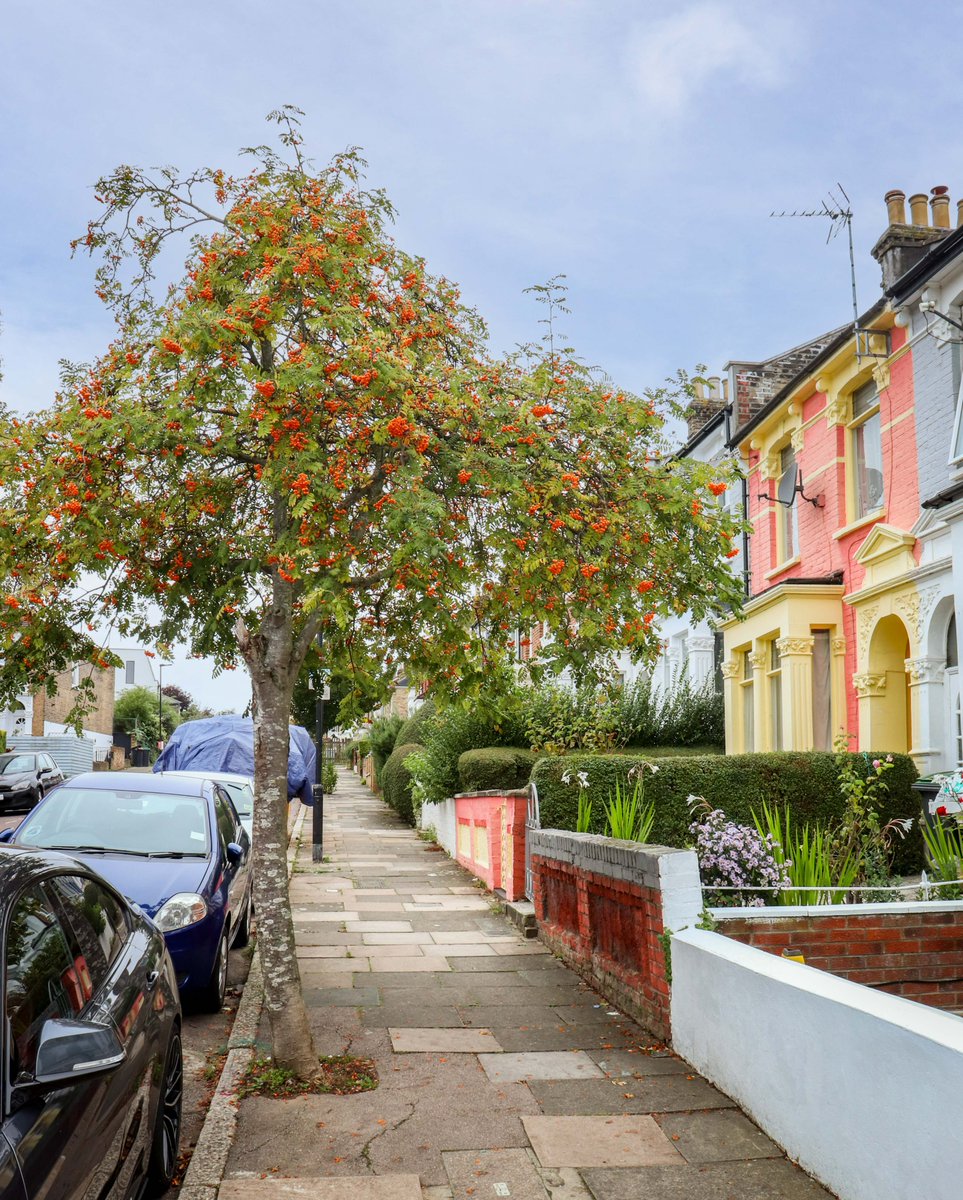 Street trees help us feel happier...

..a bold claim, but one backed up by a recent German study, that showed that living in proximity to street trees saw a reduction in the level of anti-depressants prescriptions. 

So let's fill our streets with trees!
TreesforStreets.org