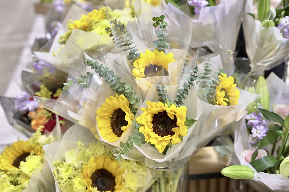 MIRALEFLEUR's tweet photo. Our best seller sunflowers are now available at our newly opened branch, Mitsukoshi BGC! 🤍

Delivery is also still available if you can't personally visit! Just DM us 🥰 https://t.co/TZnzuuDTGW