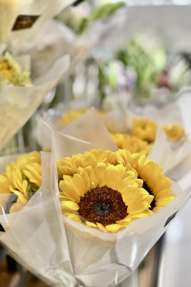 MIRALEFLEUR's tweet photo. Our best seller sunflowers are now available at our newly opened branch, Mitsukoshi BGC! 🤍

Delivery is also still available if you can't personally visit! Just DM us 🥰 https://t.co/TZnzuuDTGW