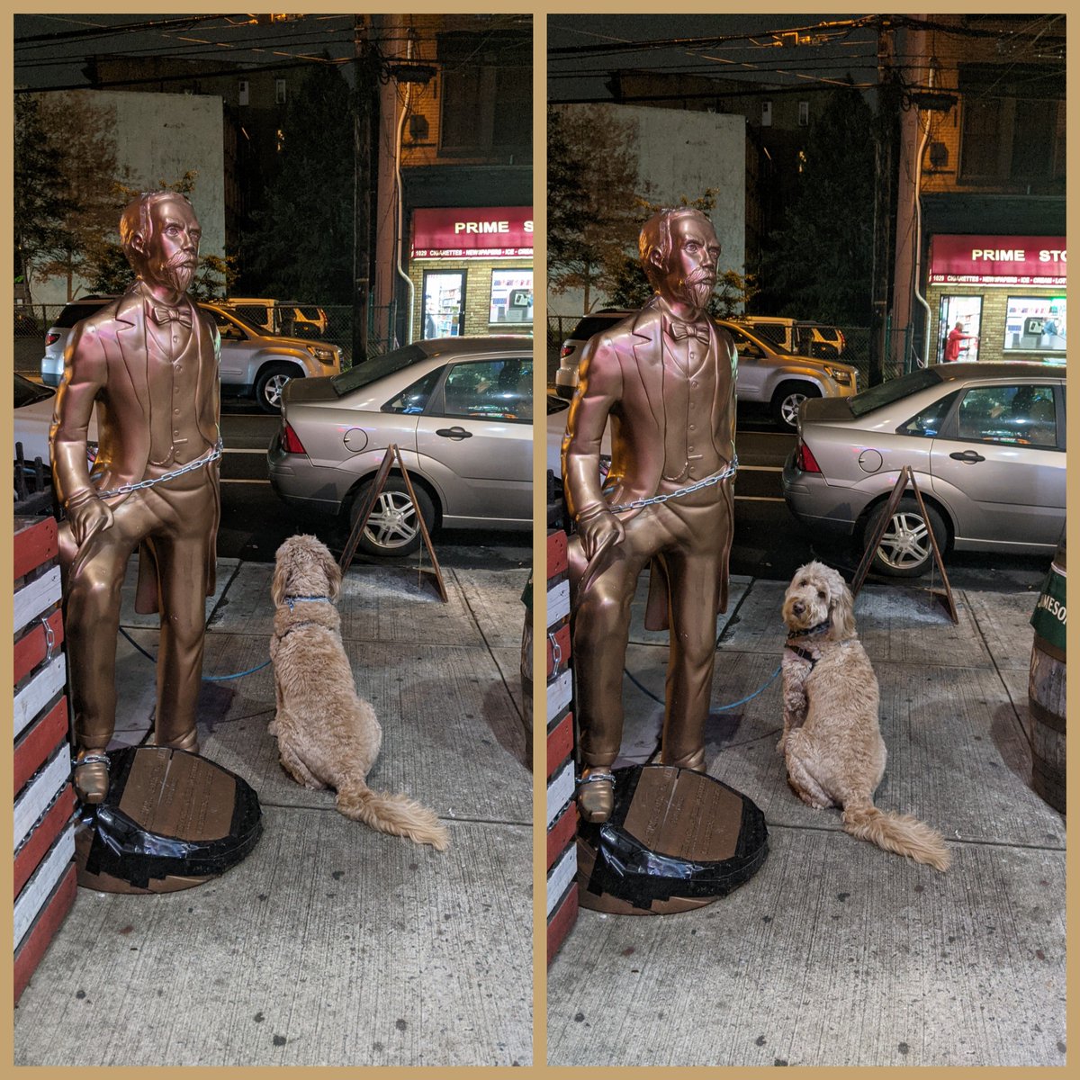 thealehouse1034's tweet photo. Our bouncer Sunny is looking out for you.
And treats.
11th & Willow
#Hoboken
#dogfriendly🐕 #billards🎱 #shuffleboardtable🥌 #darts🎯 #trivianight 🤓 #popcorn🍿#dogsofhoboken #dogfriendly🐕 #DogsofTwittter #dogsinbars🐾 https://t.co/dC4OB24Rsm