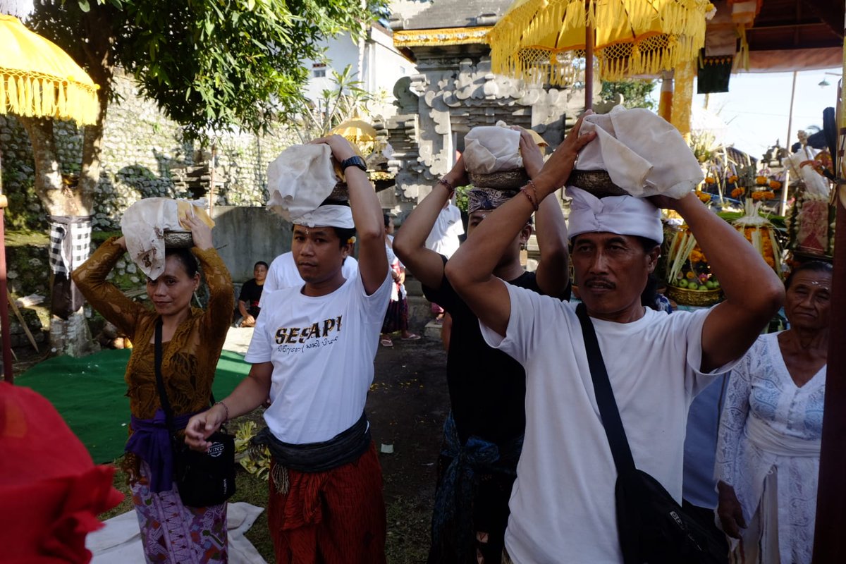 GusDark4's tweet photo. Balinese Life: Odalan - After months of preparation, Balinese begin the ceremony at their own family temple. Despite being a top tourism destination,Balinese do not use any of the tourism money for their ceremony.Each ceremony can cost millions of rupiah. #BalineseCulture #Odalan https://t.co/kTPz7THQ5V