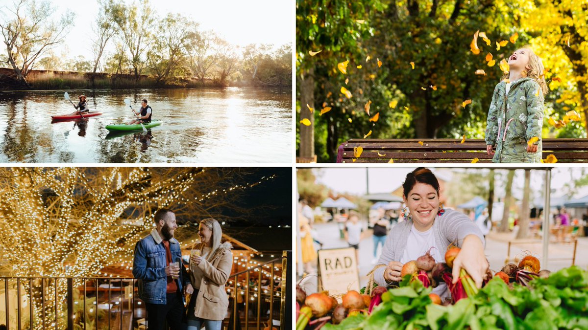 visitalburywodonga tweet media