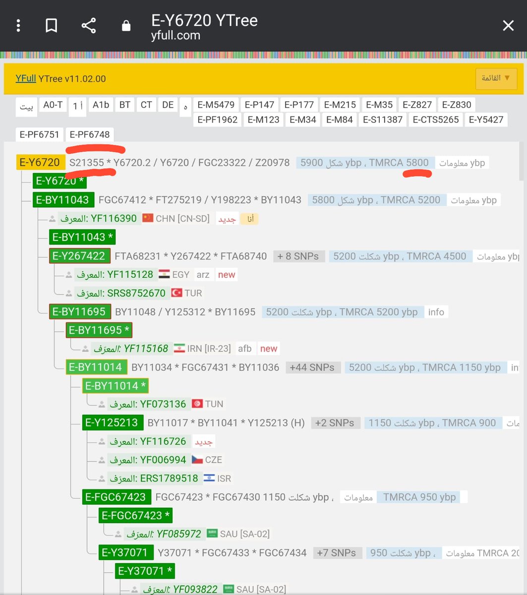 المسجل العقاري عبدالعزيز علي آل شداد tweet media