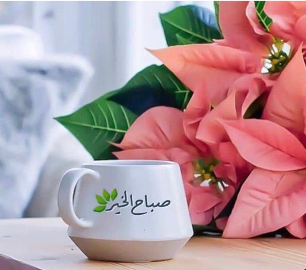 السوسنه السوداء tweet media