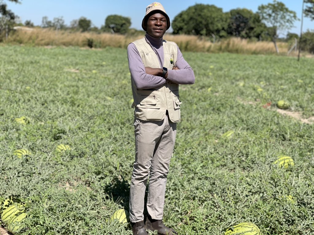 Do you recall the last time you ate a melon?

As a farmer develop your products and services and earn the attention from anyone not only relatives. Even if all your friends and relatives buy from you, how much will they bring? How many are they?
<a href="/SeedCoVegZim/">Seed Co Vegetables Zim</a> <a href="/Fran_Mapindani/">Francis B. Mapindani</a>