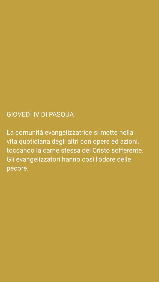 Giovanni Di Meo (@giovann28851653) on Twitter photo 