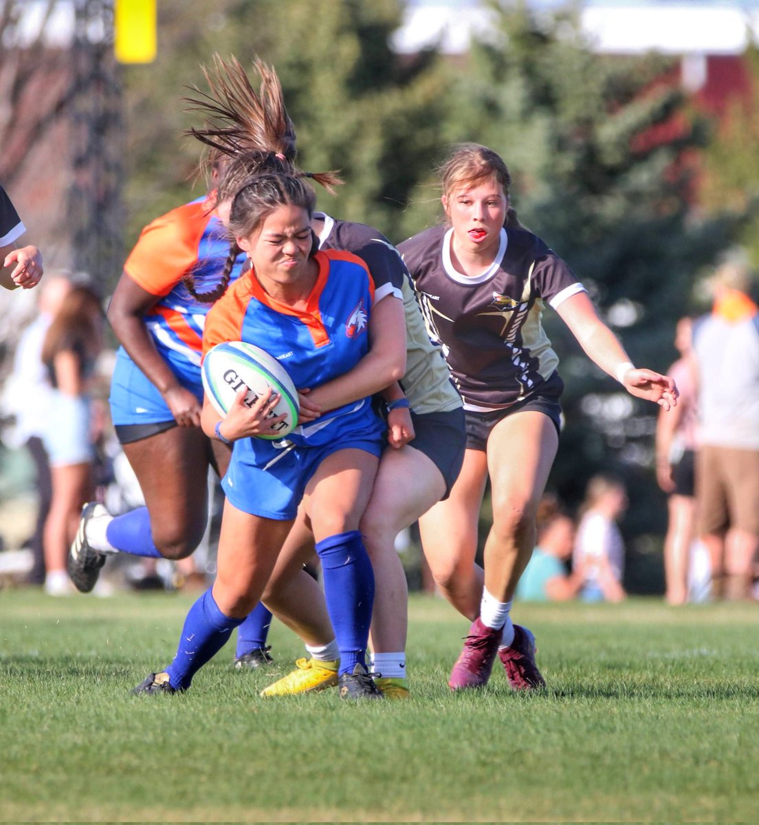 Jace Forsyth tweet media