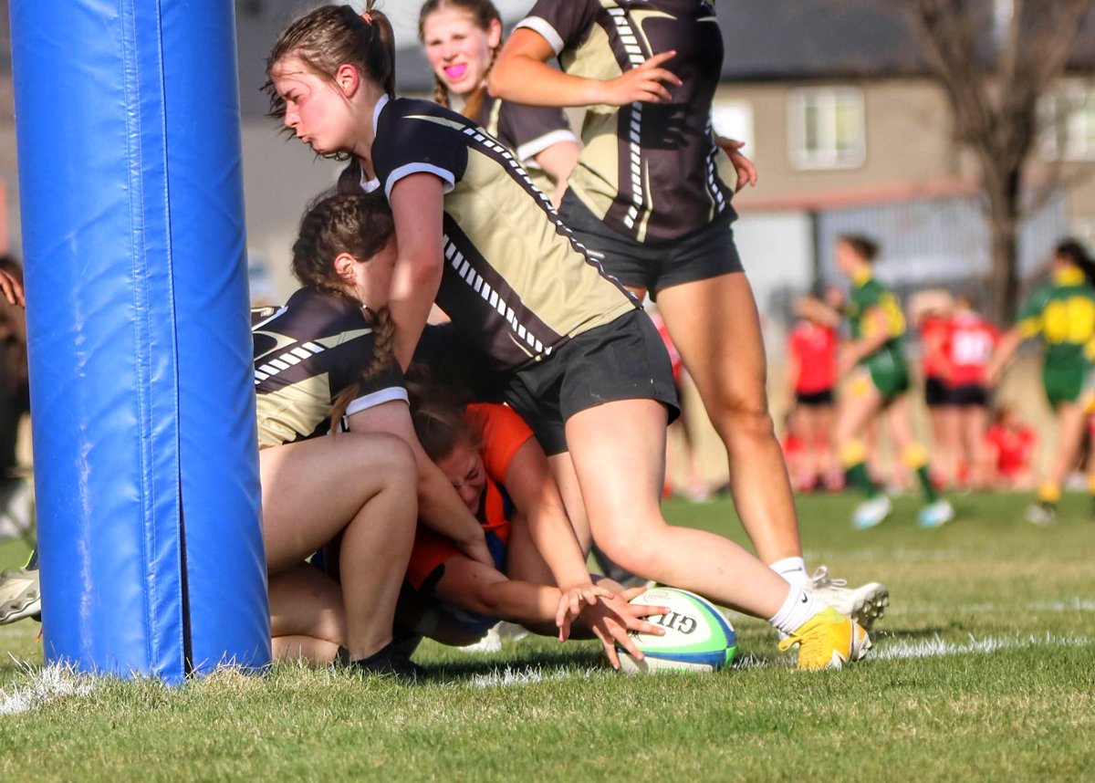 Jace Forsyth tweet media