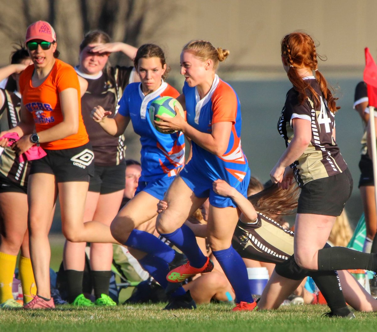 Jace Forsyth tweet media