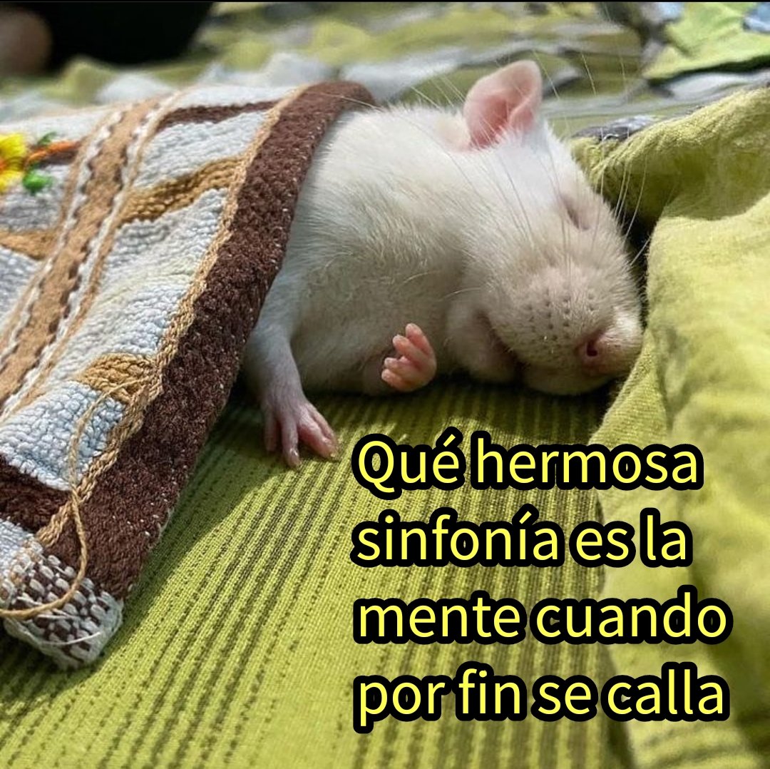 punk_y_cursi's tweet photo. 😴 https://t.co/6iIbXSYUZY