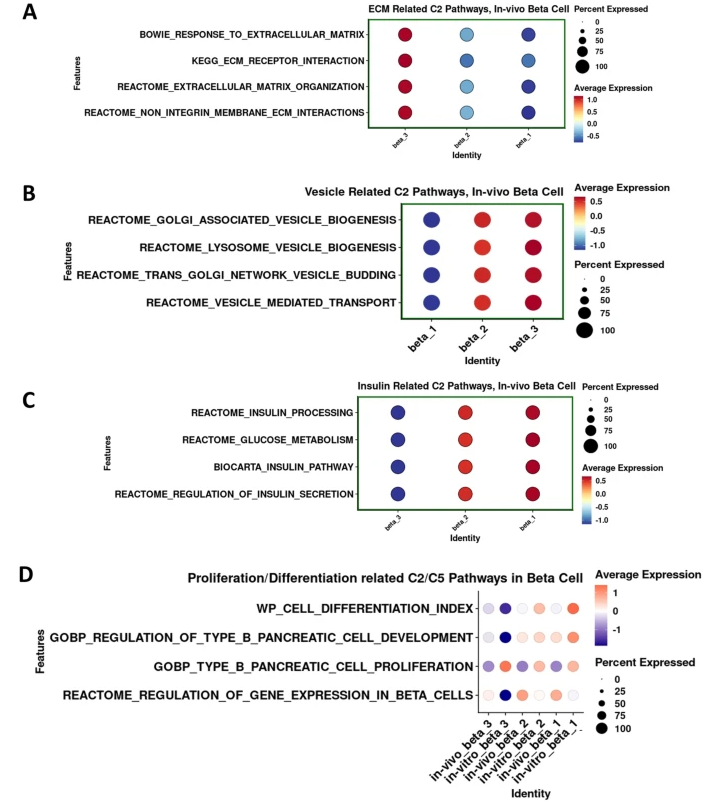Brian74534732's tweet photo. 7. β3 cells displayed lower expression of genes involved in β-cell proliferation in vivo than in vitro, indicating a more functional but less mitogenic status in the in vivo microenvironment." #snRNAseq #isletcells #inVivo #geneexpression #betacellsubtypes https://t.co/IT476XH2Lf