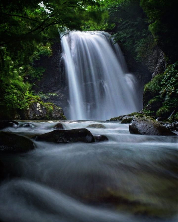 hoy77009781's tweet photo. 黒滝　(治郎左衛門滝)

#山形県
#黒滝　(治郎左衛門滝)
#滝
#waterfall
#waterfalls
#waterfalling
#waterfallsofinstagram
#滝好き
#滝ジャパン
#自然
#自然が好き
#風景
#景色 https://t.co/pGFhd7ayRy