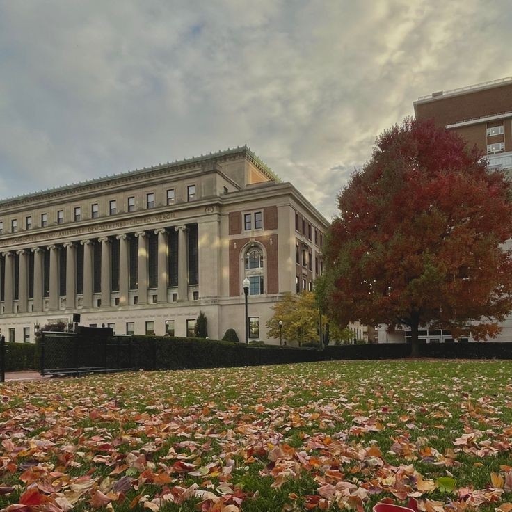 ꔛ  💼  : .  𝐃𝐄𝐍𝐕𝐄𝐑𝐓 𝐔𝐍𝐈𝐕𝐄𝐑𝐒𝐈𝐓𝐘  𓂂𓈒 𓂃 🏫  ֯