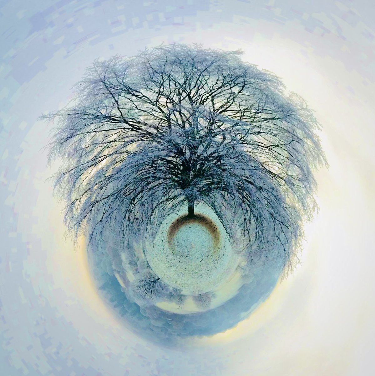 artypartyco's tweet photo. Chatsworth Tree of Life ❤️
Digital art from original photo.
Available for purchase.
#ThrowbackThursday #trees #photo #artist #NaturePhotography #digitalart #DERBYSHIRE #PeakDistrict #chatsworth #isolatedtree #views #Mindfulness #circles #creative #vision @artsderbyshire https://t.co/Ke9tzWXczS