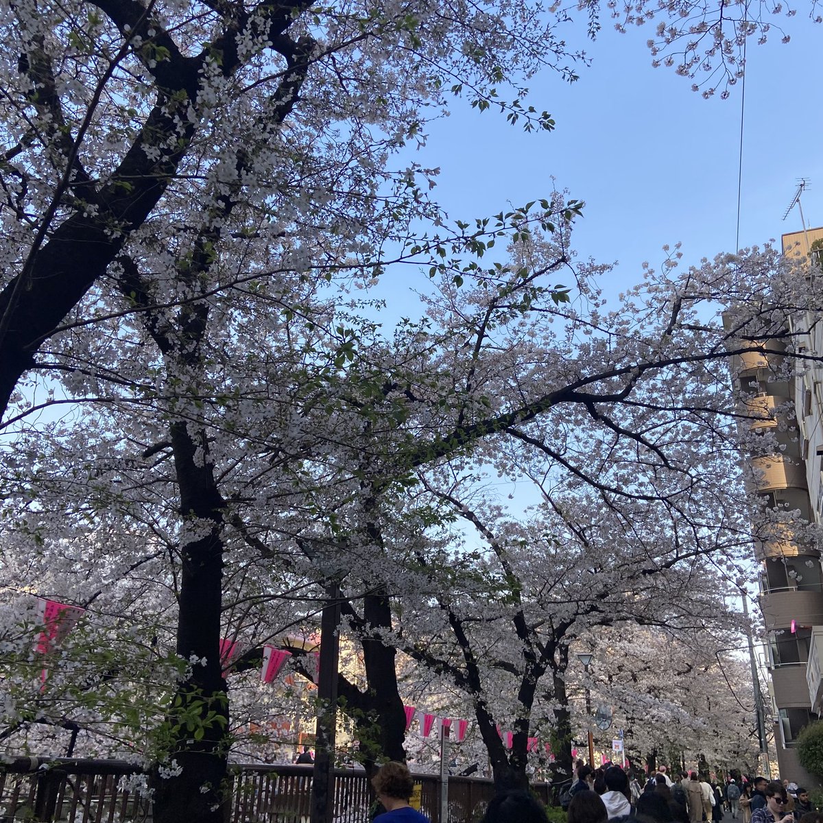manatea_87's tweet photo. 上京してたったの1ヶ月しか経ってないんだね https://t.co/RXy9jmaKJu
