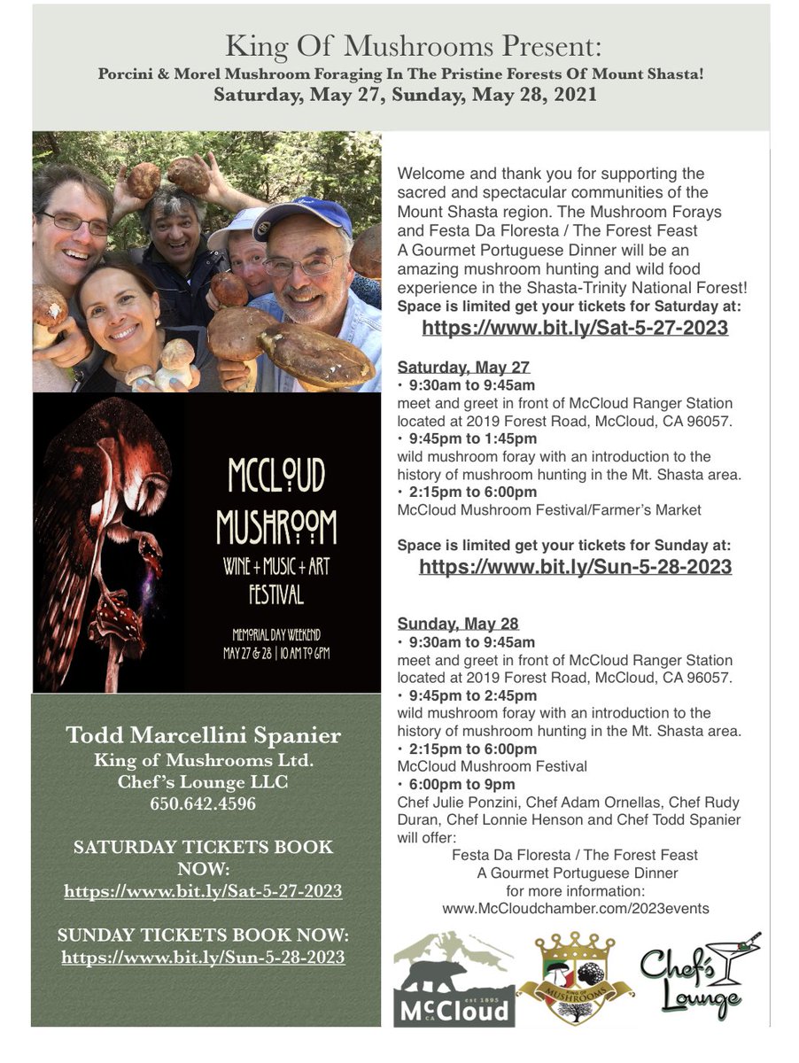 Come join us at the McCloud Mushroom Festival 2023 this Memorial Day weekend!