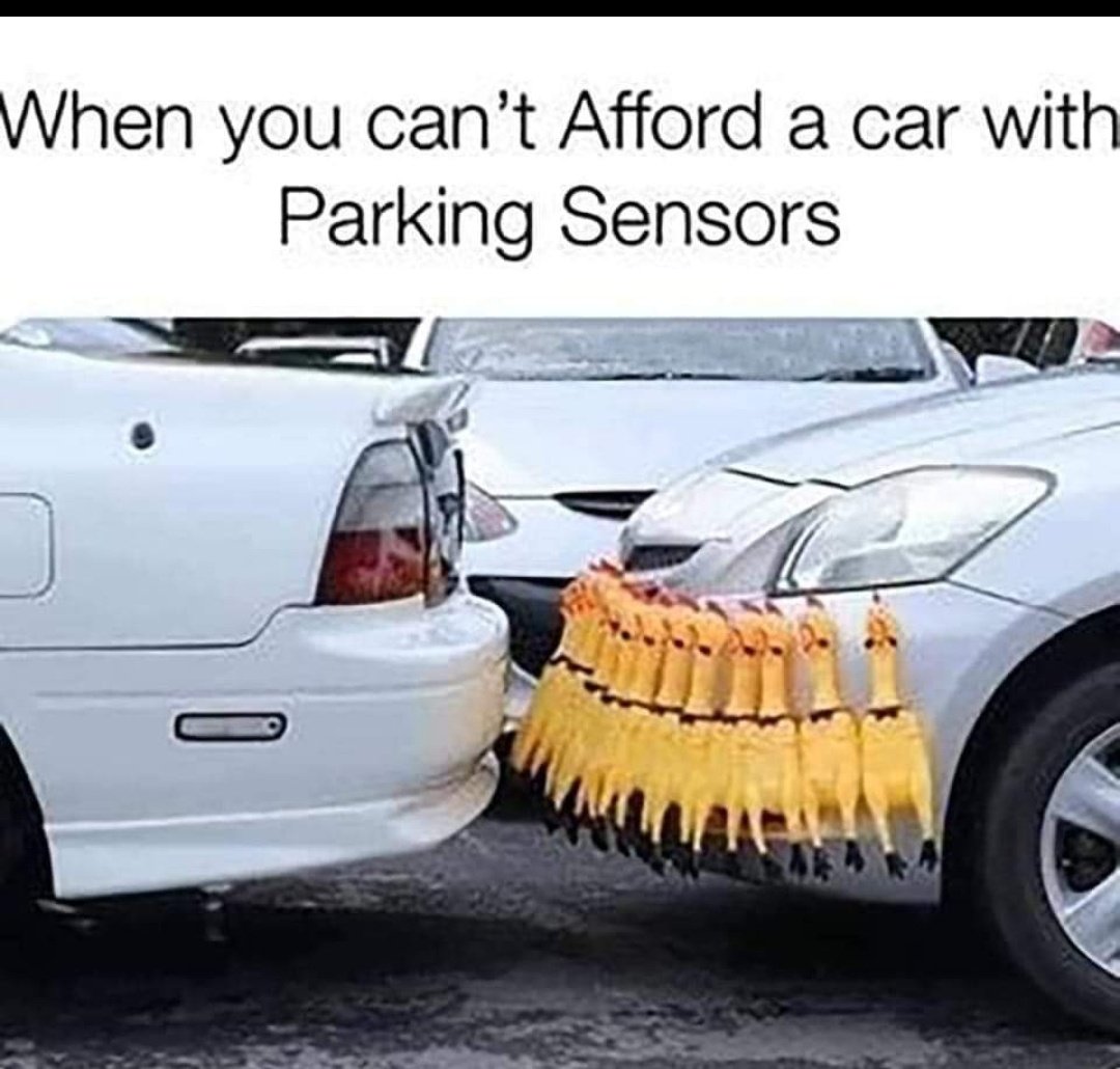 StangSalsa's tweet image. 