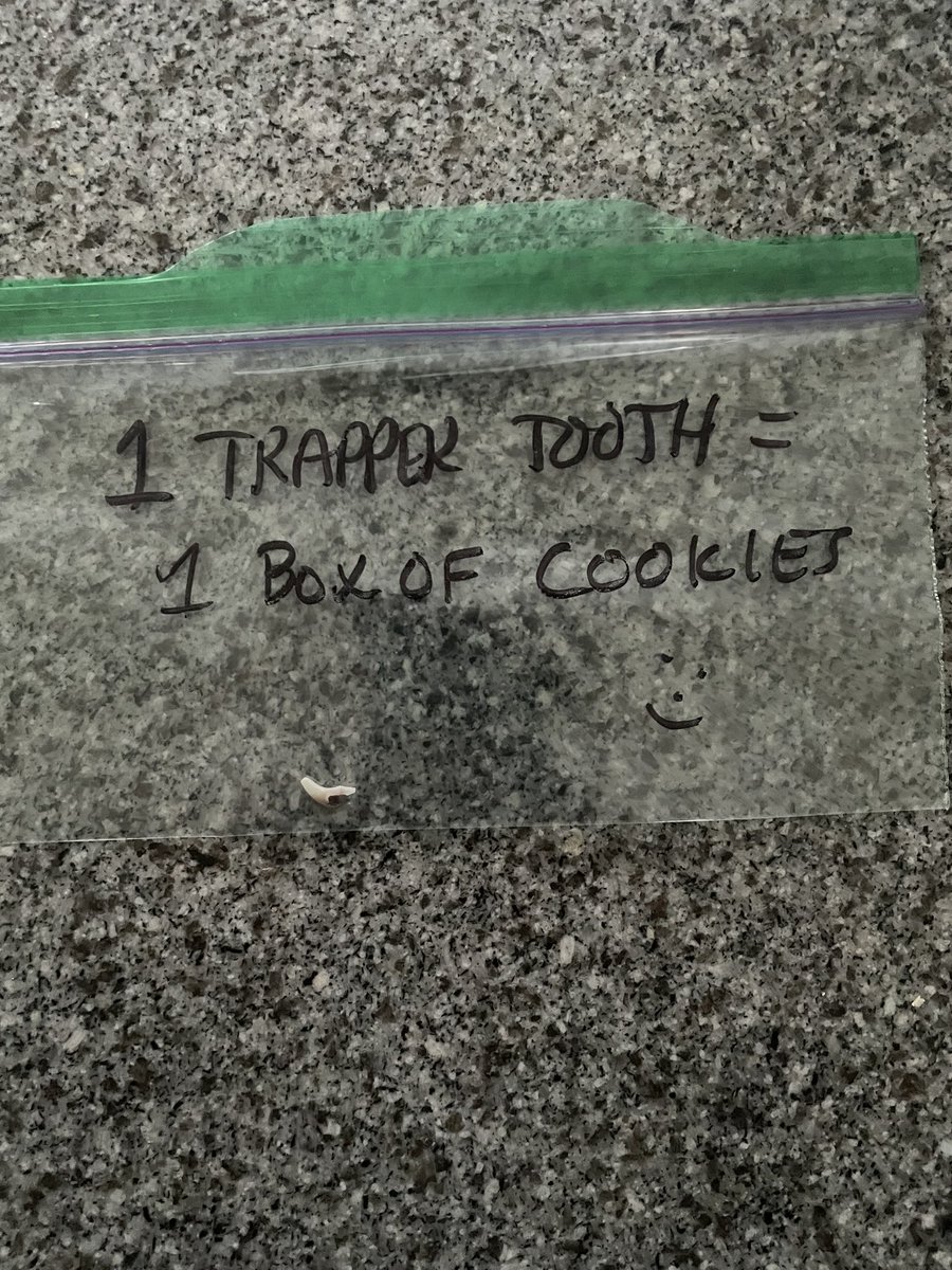 Daddy knew what’s up when I lost a tooth. #trappertweets #beagle #DogsofTwittter