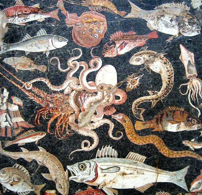 This remarkable floor mosaic of an octopus fighting a lobster, surrounded by a spectacular variety of sea creatures, was found during the excavation of the House of the Dancing Faun, ancient Pompeii’s richest residence (1st century, National Archaeological Museum, Naples)