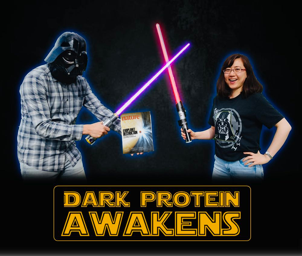 LemkeLab's tweet photo. #MayThe4thBeWithYou! As #StarWars fans, we are beyond thrilled to see our paper IN PRINT today in @Nature! We used #lightsaber to light up the dark protein in the nuclear pore. Read our #ScienceComic below👇 &amp; read our story👉 https://t.co/aT6OtvsgNi (1/2) https://t.co/Z9lqBTVA8D