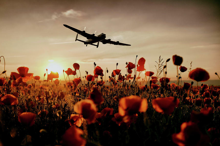 luchtoorlog2's tweet image. Een goede #Dodenherdenking toegewenst! 

Woon je in omgeving Amersfoort? Als je vanochtend goed rond kijkt, is het mogelijk dat je enkele vliegtuigen ziet:

Tegen twaalven hoopt namelijk een formatie van 4 straaljagers over de Gedenknaald in Soesterberg te vliegen.