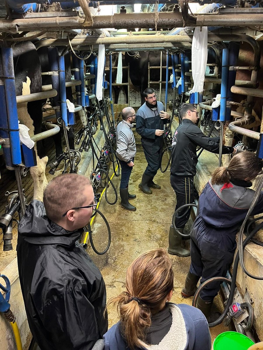 Récemment, les salariés de <a href="/Fairefrance/">FaireFrance</a> se sont rendus sur la ferme d' <a href="/AdrienLefevre08/">LEFÈVRE Adrien 🇪🇺</a> pour faire l'expérience, le temps d'une journée, du travail d'éleveur laitier, un métier/passion qui nécessite beaucoup de courage et d'engagement ! Bravo à vous TOUS ! 👏👏🤩🤩👉👉👇👇🥛🥛