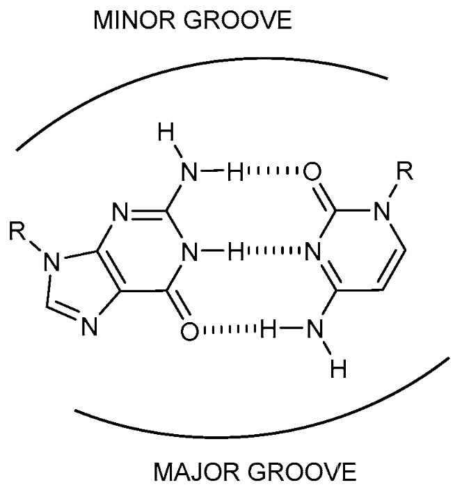 Molecules_MDPI's tweet photo. 📌#DNAstructure #RNAstructure #quadruplex #tetrad
New Publication “Non-G Base Tetrads”
By: Carlos González, et al.
👉 https://t.co/MNa2Q5NGZq
#mdpimolecules #NewPublication https://t.co/TtW9zNPDR9