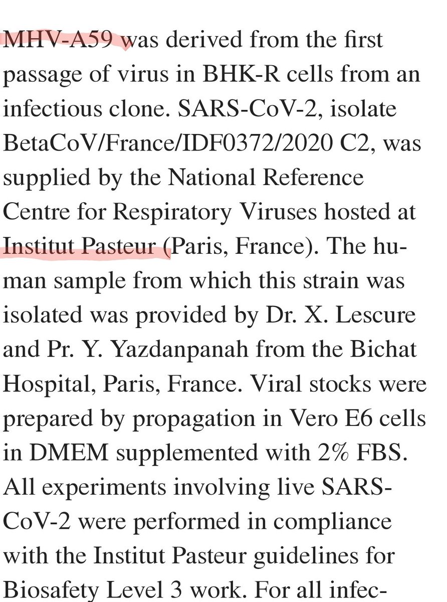 FoolsMultiply's tweet photo. @tommy_cleary Maybe #Gallagher and #Shulla would be willing to answer a few questions? #MHV59 #RRARR #VINHISSHED #FurinCleavage #Laos #InstitutPasteur https://t.co/wWzn44BWgb