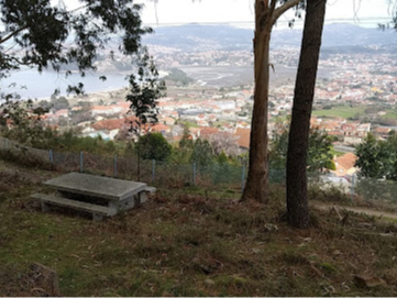 iviewpoint tweet media