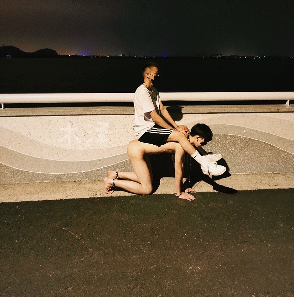 Myadorei's tweet photo. 小狗盯大狗
#裸 #人形犬 https://t.co/MZoyDT5BcR