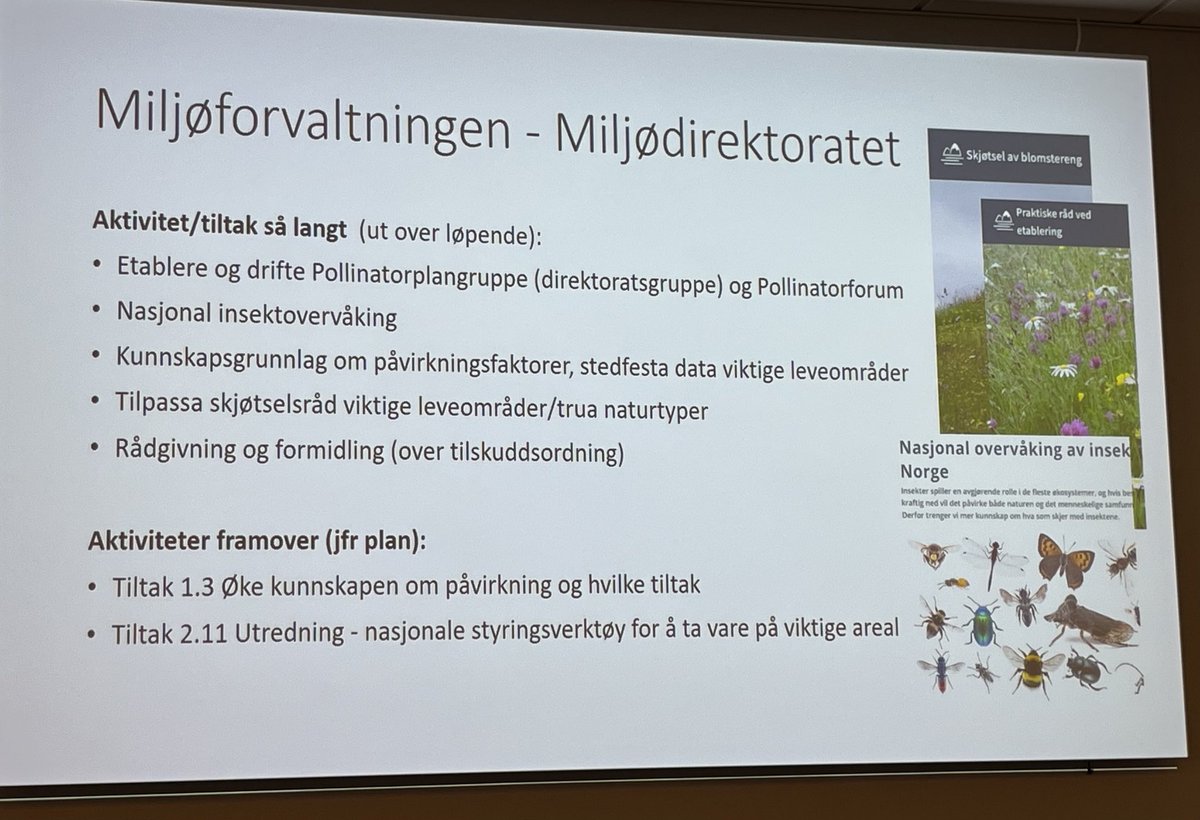 Glad for å høre hva som skjer ifht oppfølging av arbeidet med pollinatorer fra ⁦<a href="/miljodir/">Miljødirektoratet</a>⁩ mfl på pollinatorforum i dag. Spesielt gledelig å se og høre så mange engasjerte deltagere fra et vidt spekter fra forvaltning, organisasjoner og næringsliv!