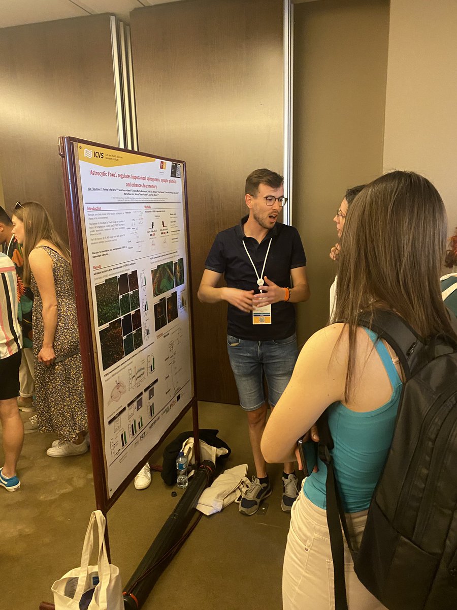 Joao_F_Oliveira's tweet photo. The one and only João Viana, shining star of our #astrogang, presenting the data on #Foxo1 overexpression in hippocampal #astrocytes
@FENSRM
@FENSorg
@SPNeurociencias
#astrocytesrule
@icvs_uminho https://t.co/Cn5zvuYBWp