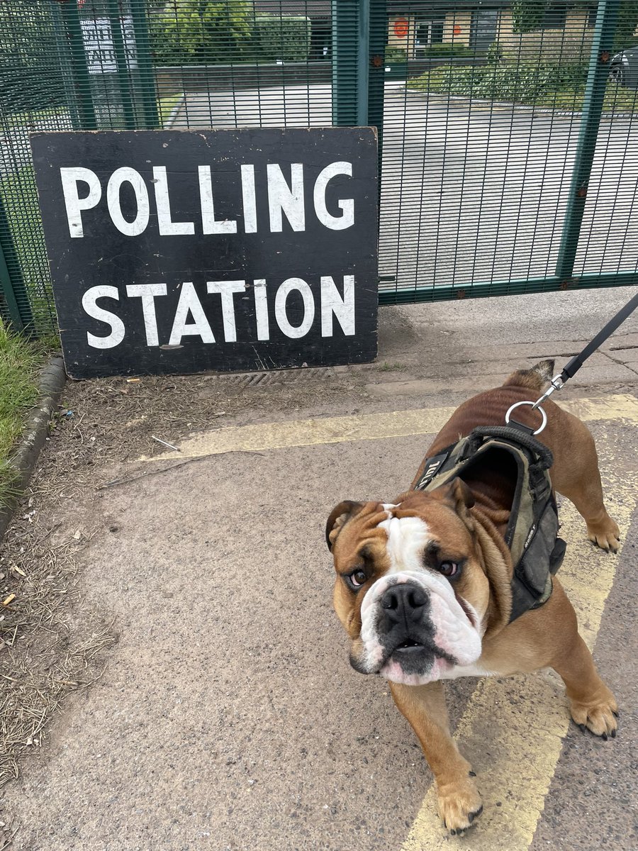 Meganlikestea's tweet photo. Morris reminds everyone to go vote today!! #dogsatpollingstations “give us bread but give us dentastix” 🌹🍞 https://t.co/GdgZiBmK2R