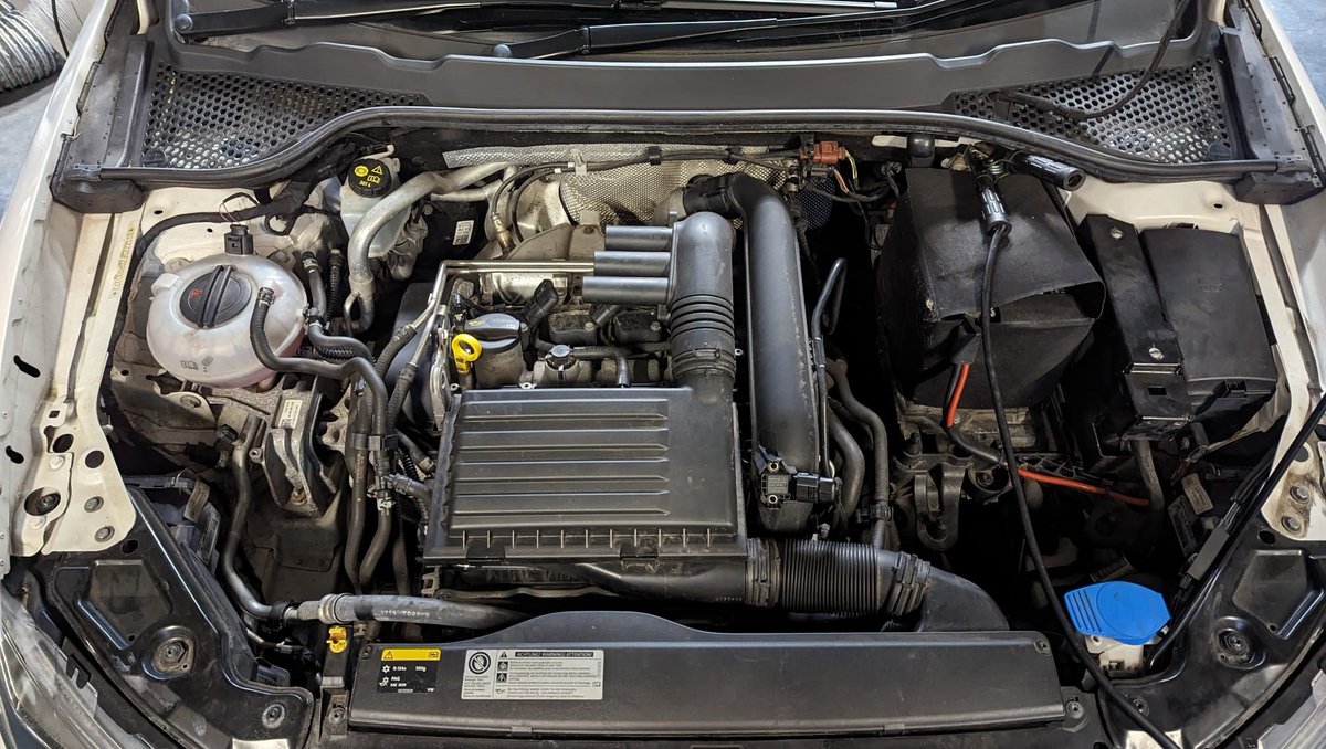 Celtic Tuning tweet media