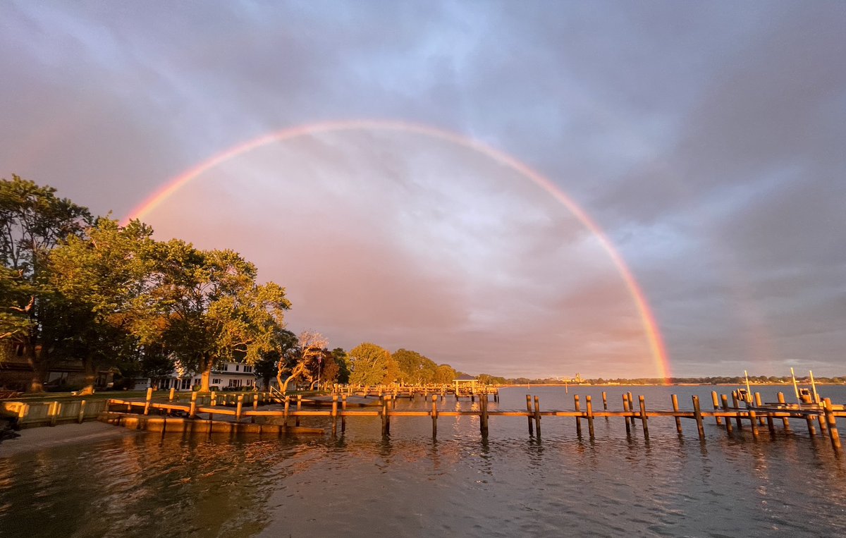 Dawn Howeth 🌤 tweet media