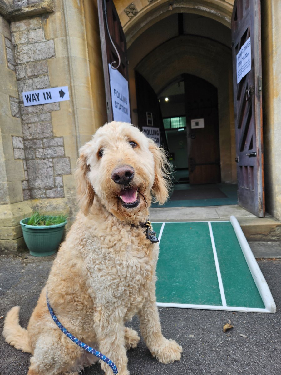 SteveSullivan tweet media