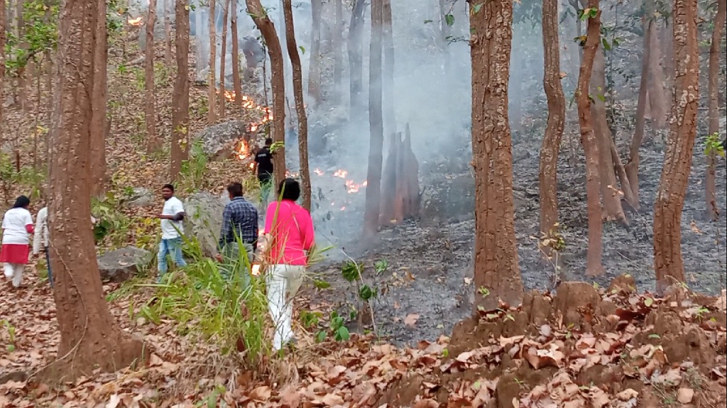 down2earthindia's tweet photo. Youth from Odisha’s Kandhamal show the way to combat forest fires
https://t.co/2noDla5hRE
#odisha #forests https://t.co/R0Cbpl8e9r