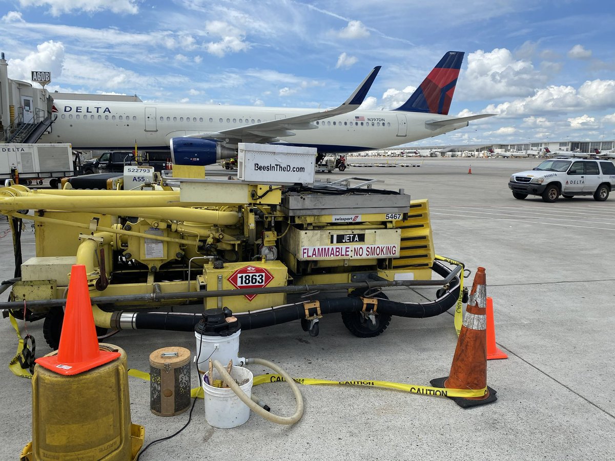 Bees in the D tweet media