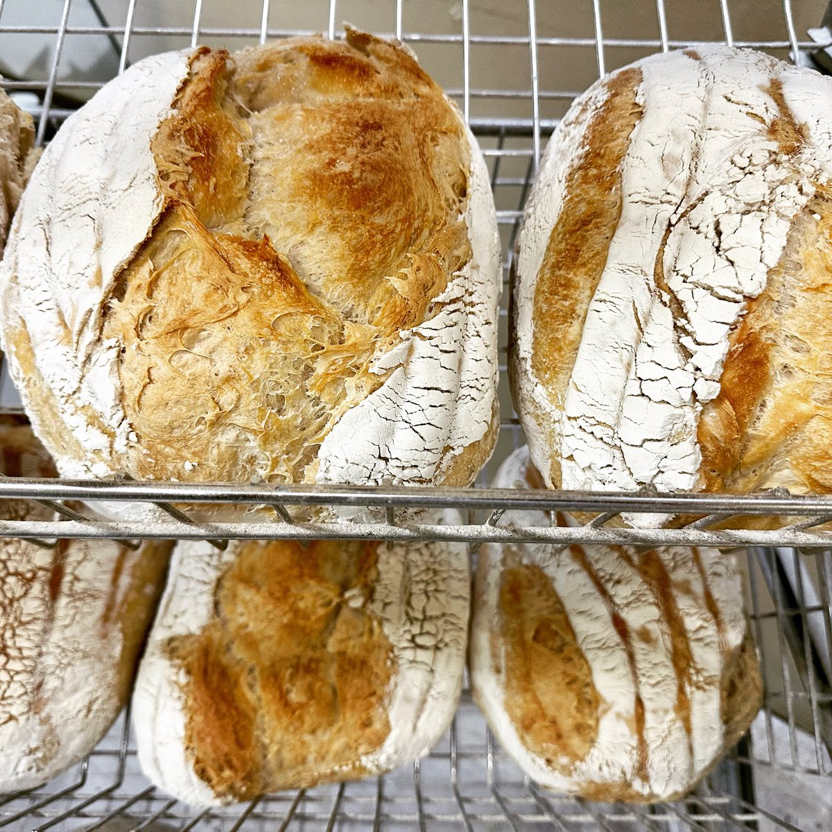 Dannys Bakery tweet media