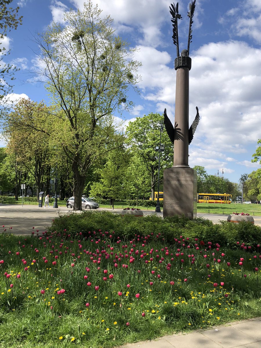 DaphneBergsma's tweet photo. And now the #GeneralMaczek 🌷are in full blossom! Thank you again @RauZbigniew for planting them last autumn. A wonderful result of 🇵🇱🇳🇱cooperation!
@MSZ_RP @DutchMFA https://t.co/RXEB6O6ijn