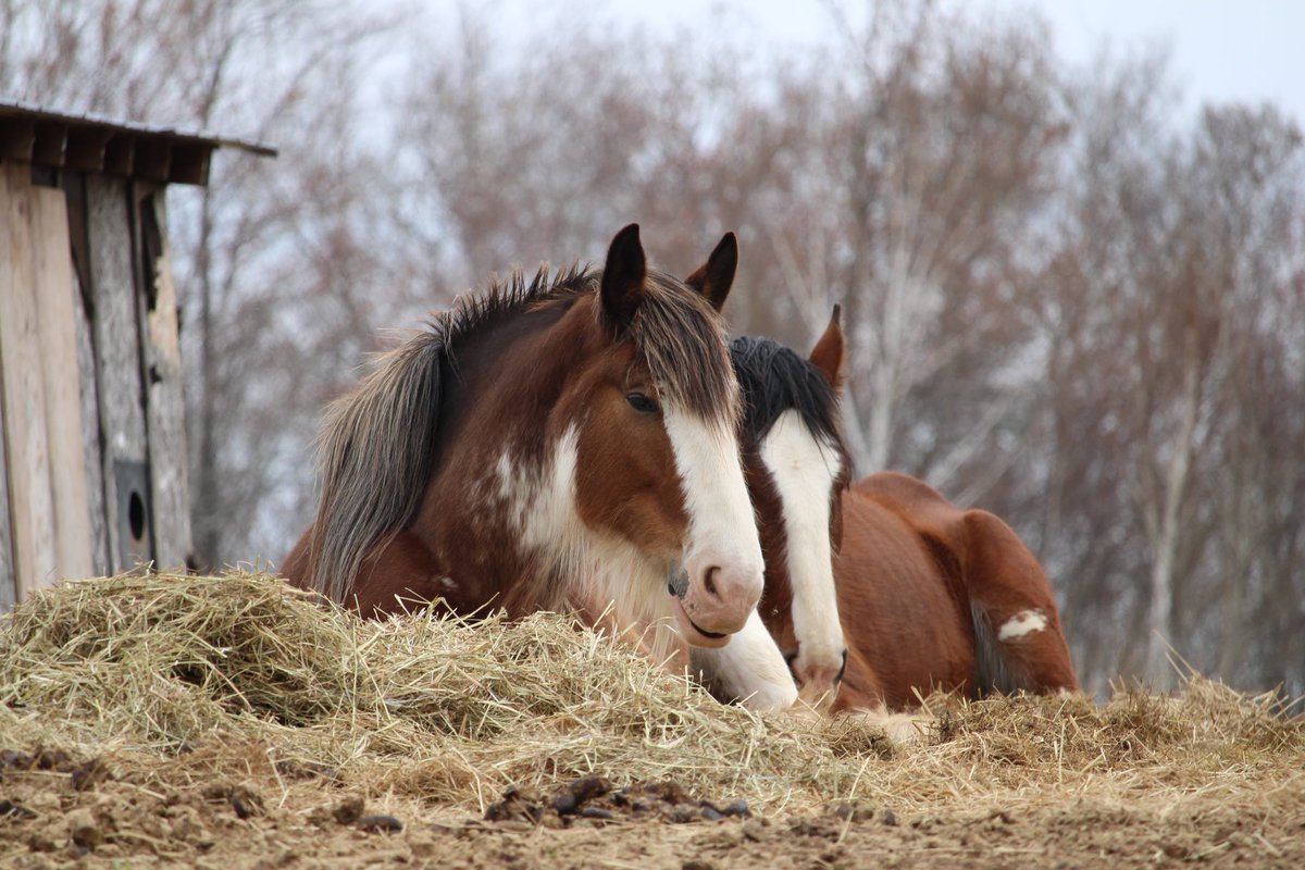 Wishing you a beautiful day 💞