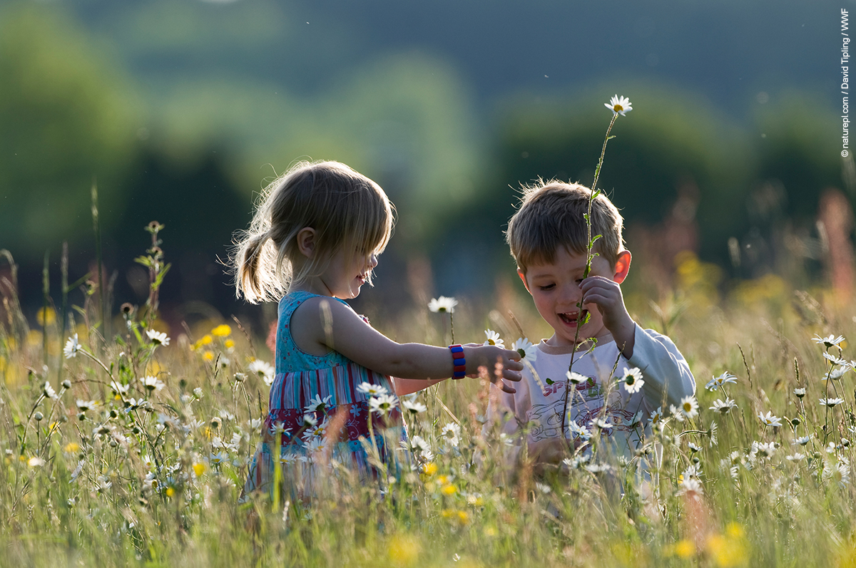 wwf_uk's tweet photo. Will you let your lawn get a little wilder for #NoMowMay?

Allowing grass to grow long is an easy way to provide vital habitats for wildlife, and essential nectar for pollinators.🐝🌼🦋

Sometimes, the best way to #SaveOurWildIsles is to let nature do its thing!

@Love_plants https://t.co/4gd0b8uo06