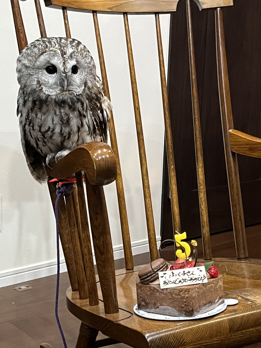 silverFukuko's tweet photo. 今年はバタバタして遅れてしまいました😭ごめんなさいフク子さん https://t.co/1ZhVLgSD1L