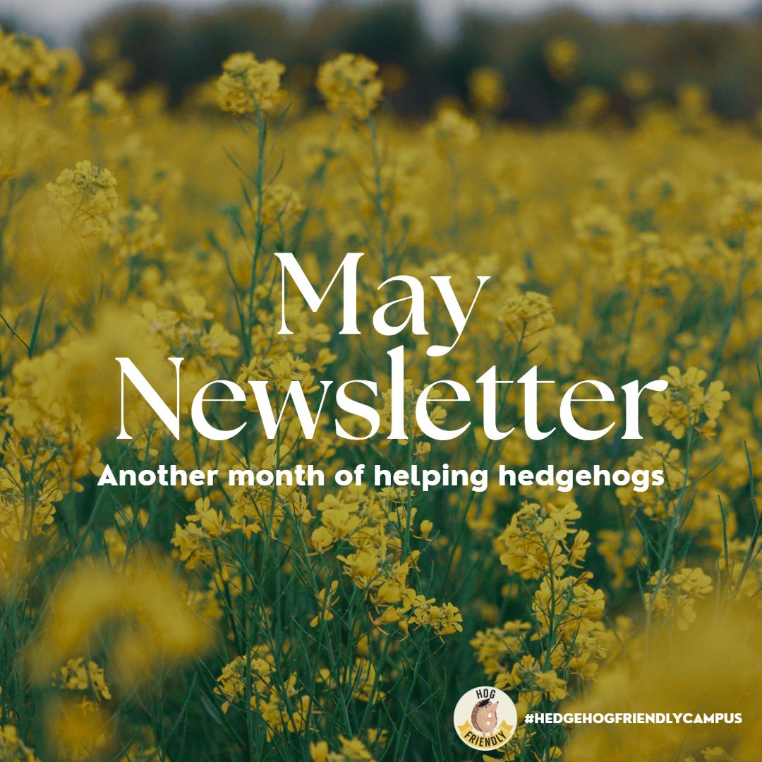 Hedgehog Friendly Campus tweet media