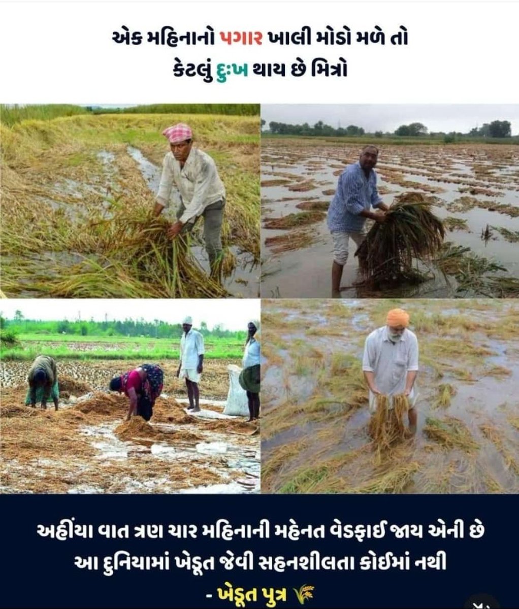 ErMUKESHDHAPA's tweet photo. https://t.co/QuCxvLarvT