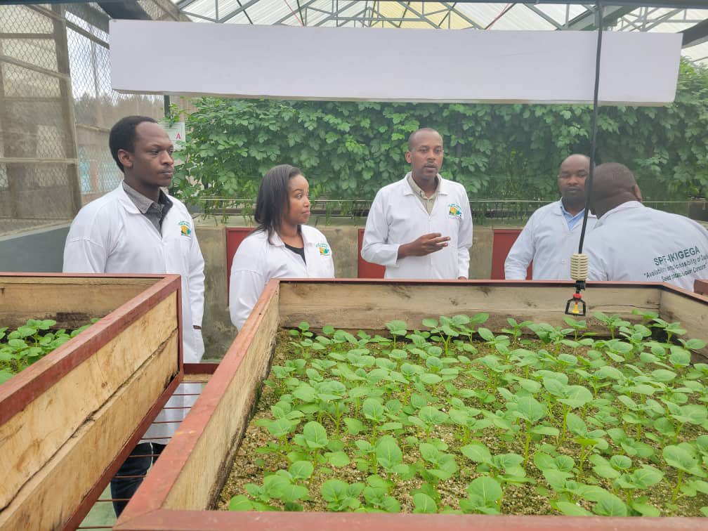 It was great  to visit yesterday Early Generation Seed Potato (EGSP) Imbuto  company team in Musanze District  and explored areas of collaboration between <a href="/EGSP2020/">EGSP-IMBUTO</a> and <a href="/ClintonFdn/">Clinton Foundation</a>