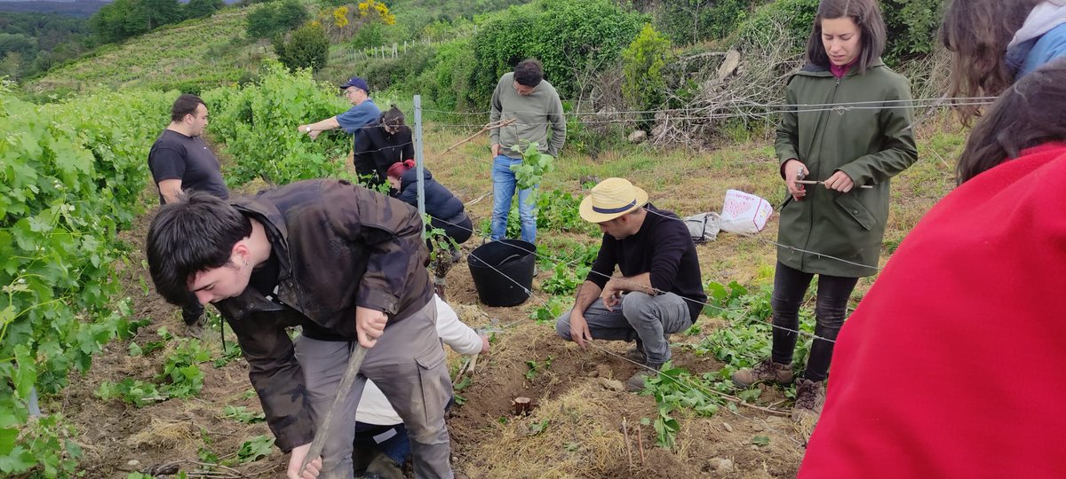 Nuestros chic@s de #Vitivinicultura hoy tienen un taller práctico de injertos gracias a Nelson Fernández (Fiti)
#CPRBelarminoFdez #FPGalicia #ViticulturaHeroica #RibeiraSacra