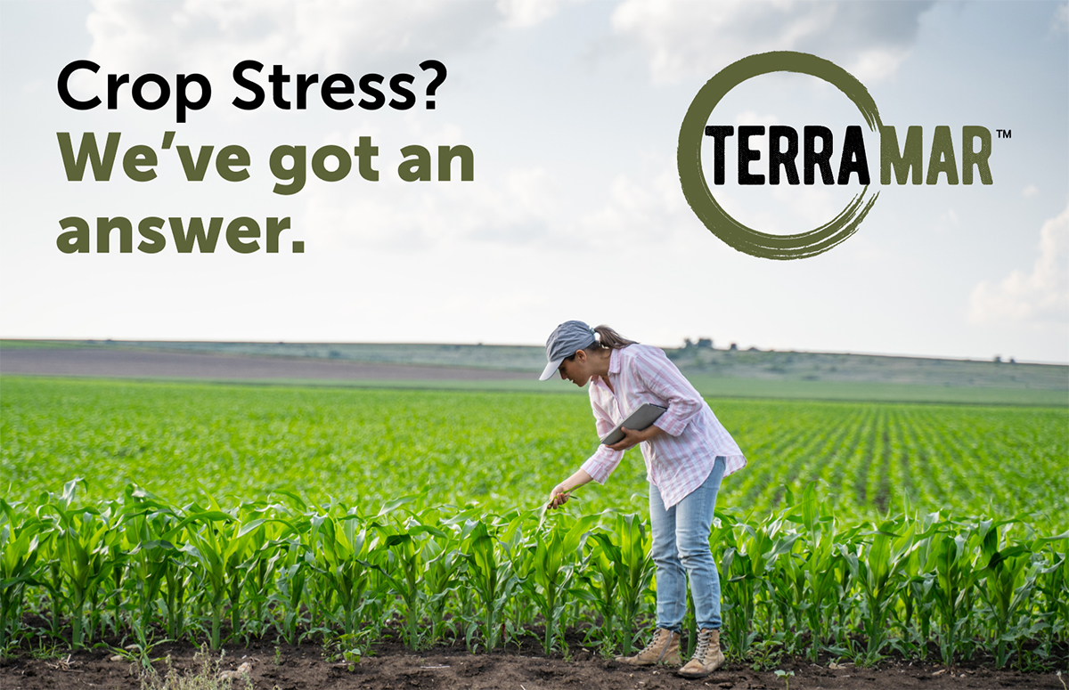 AgricenCo's tweet photo. Help your crop “Stand Up to Stress” with #Terramar, a foliar-applied technology designed to help you meet your yield goals, even when growing conditions aren’t ideal. 🌱🌽 Learn more: https://t.co/FJvHnAXQCW
#corn #soybeans #planthealth #growers #farmers https://t.co/kHM0wihGfv
