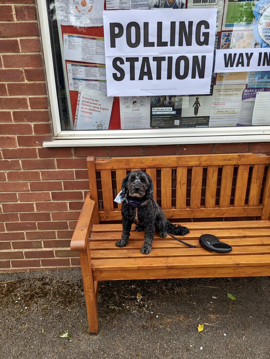 WildflowerSoulx's tweet photo. #dogsatpollingstations https://t.co/0GVrAFQSlL